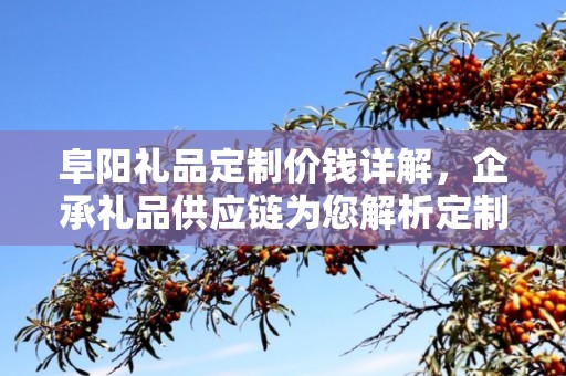阜阳礼品定制价钱详解，企承礼品供应链为您解析定制成本