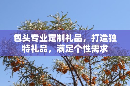 包头专业定制礼品，打造独特礼品，满足个性需求