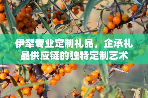 伊犁专业定制礼品，企承礼品供应链的独特定制艺术