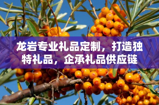 龙岩专业礼品定制，打造独特礼品，企承礼品供应链