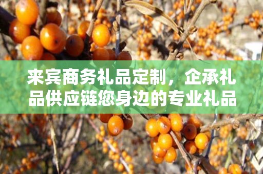 来宾商务礼品定制，企承礼品供应链您身边的专业礼品定制公司