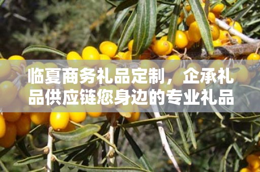 临夏商务礼品定制，企承礼品供应链您身边的专业礼品定制公司