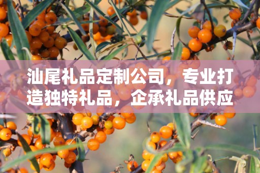 汕尾礼品定制公司，专业打造独特礼品，企承礼品供应链引领行业新风尚