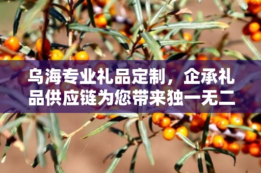 乌海专业礼品定制，企承礼品供应链为您带来独一无二的礼品定制体验