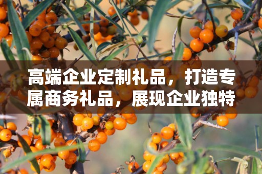 高端企业定制礼品，打造专属商务礼品，展现企业独特风采