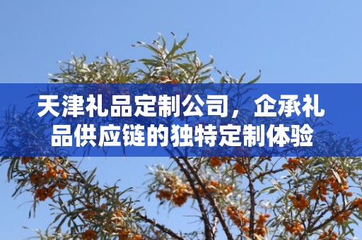 天津礼品定制公司，企承礼品供应链的独特定制体验